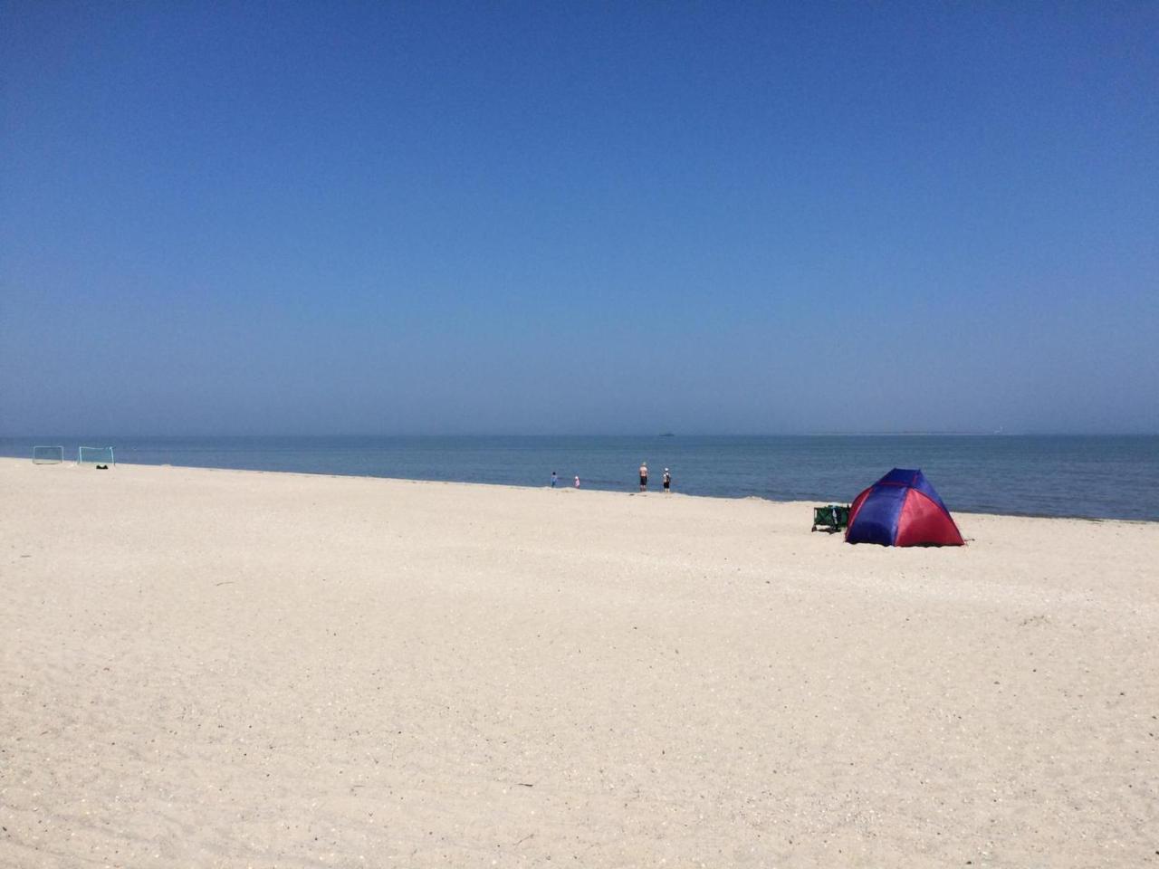 Strandgerste Шиллиг Экстерьер фото
